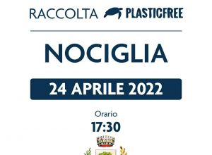 Raccolta plasticfree