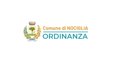 Ordinanza n°11 del 22 giugno 2020