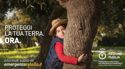 Xylella fastidiosa: misure di contenimento e prevenzione 2021