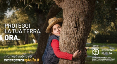 Xylella fastidiosa: misure di contenimento e prevenzione 2021